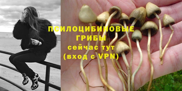 ALPHA-PVP Бородино
