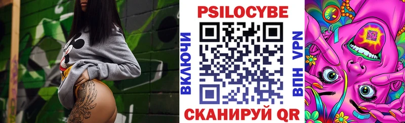блэк спрут маркетплейс  Новая Усмань  Галлюциногенные грибы Cubensis 